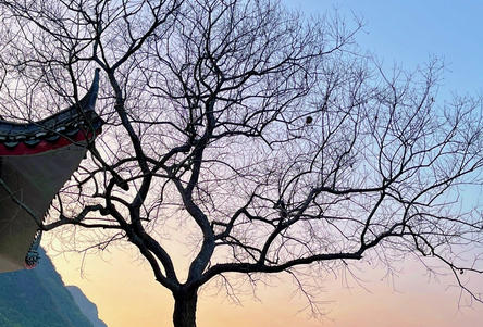 黔东南二级心理咨询师报考流程详细步骤有哪些-黔东南二级心理咨询师报考流程步骤